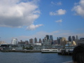 IMG0353_Zn.jpg