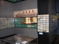 IMG0447_Zn.jpg