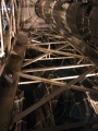 IMG0460_Zn.jpg