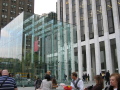 IMG0495_Zn.jpg