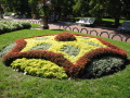 IMG0042_Zn.jpg