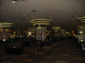 IMG0133_Zn.jpg