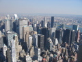 IMG0243_Zn.jpg