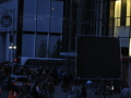 IMG0327_Zn.jpg