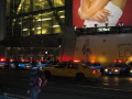 IMG0433_Zn.jpg