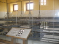 IMG0446_Zn.jpg