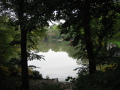 IMG0489_Zn.jpg