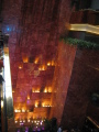 IMG0497_Zn.jpg