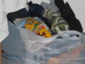 IMG3498_Zn.jpg