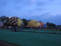 IMG3630_Zn.jpg