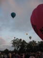 IMG3646_Zn.jpg