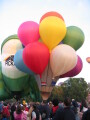 IMG3649_Zn.jpg