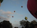 IMG3654_Zn.jpg