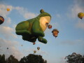 IMG3661_Zn.jpg