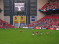 IMG6545_Zn.jpg