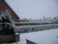 IMG7131_Zn.jpg