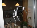 IMG7218_Zn.jpg