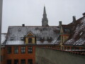 IMG7225_Zn.jpg