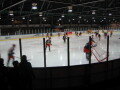 IMG7231_Zn.jpg