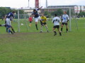IMG7780_Zn.jpg