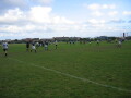 IMG7781_Zn.jpg