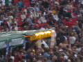 IMG8027_Zn.jpg