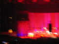 IMG8112_Zn.jpg