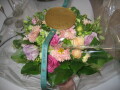 IMG8291_Zn.jpg