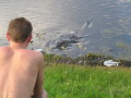 IMG8791resize_Vye.jpg