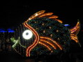 IMG8868resize_Vye.jpg