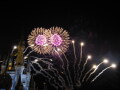 IMG8887resize_Vye.jpg