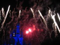 IMG8891resize_Vye.jpg