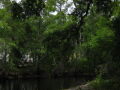 IMG8928_Zn.jpg