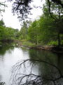 IMG8929_Zn.jpg