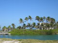 IMG8951_Zn.jpg
