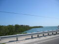 IMG8956_Zn.jpg