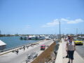 IMG8972_Zn.jpg