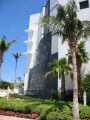IMG9051_Zn.jpg