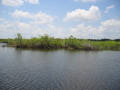 IMG9099_Zn.jpg