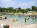 IMG9200_Zn.jpg