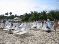 IMG9209_Zn.jpg