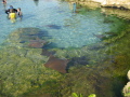 IMG9211_Zn.jpg