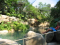 IMG9219_Zn.jpg