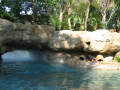 IMG9220_Zn.jpg