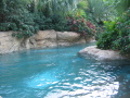 IMG9222_Zn.jpg