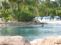 IMG9229_Zn.jpg