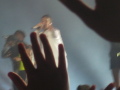IMG9632_Zn.jpg