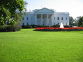 IMG9814_Zn.jpg