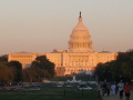 IMG9894_Zn.jpg