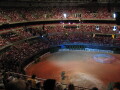 img3729_Zn.jpg